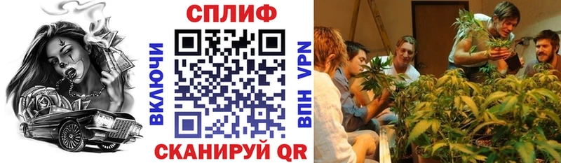 Наркота Южно-Сухокумск Alpha PVP  Бошки Шишки  МЕФ  Галлюциногенные грибы  Кокаин  Гашиш 