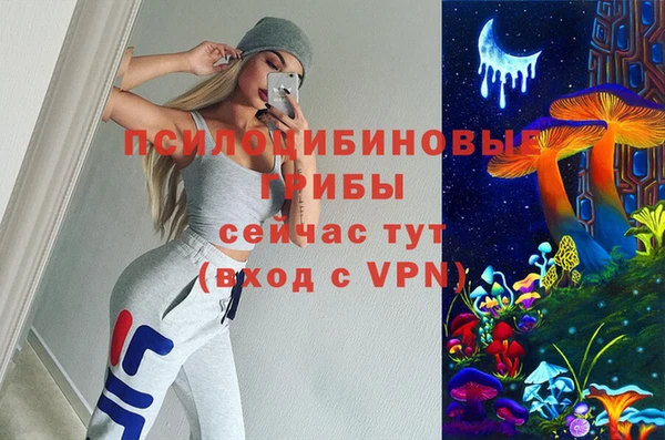 первитин Армянск