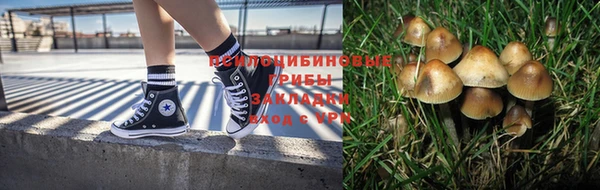 мет Аркадак