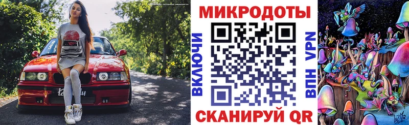 Галлюциногенные грибы Psilocybe  цена наркотик  Южно-Сухокумск 